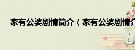 家有公婆剧情简介（家有公婆剧情介绍）
