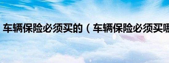 车辆保险必须买的（车辆保险必须买哪几种）