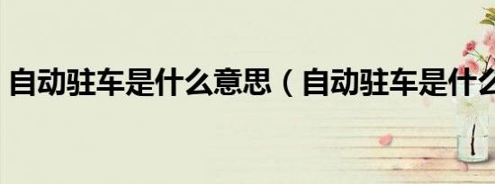 自动驻车是什么意思（自动驻车是什么意思）