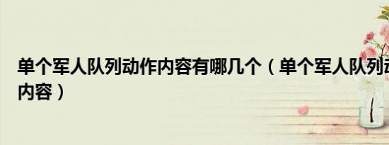 单个军人队列动作内容有哪几个（单个军人队列动作有几个内容）