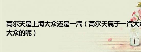 高尔夫是上海大众还是一汽（高尔夫属于一汽大众还是上海大众的呢）