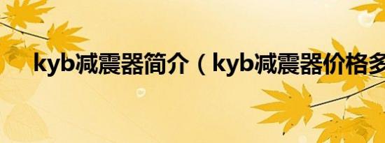 kyb减震器简介（kyb减震器价格多少）