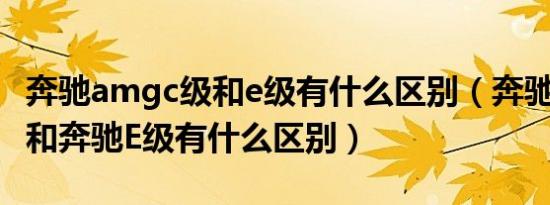 奔驰amgc级和e级有什么区别（奔驰e级amg和奔驰E级有什么区别）