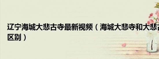 辽宁海城大悲古寺最新视频（海城大悲寺和大悲古寺有什么区别）