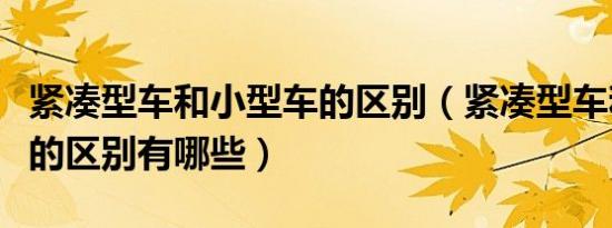 紧凑型车和小型车的区别（紧凑型车和小型车的区别有哪些）