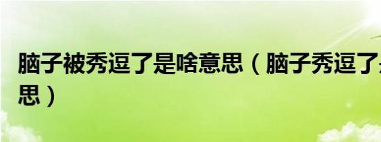 脑子被秀逗了是啥意思（脑子秀逗了是什么意思）