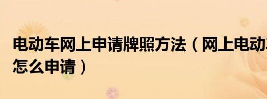 电动车网上申请牌照方法（网上电动车上牌照怎么申请）