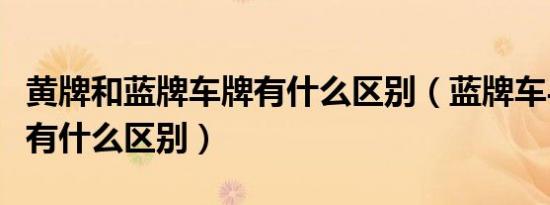 黄牌和蓝牌车牌有什么区别（蓝牌车与黄牌车有什么区别）