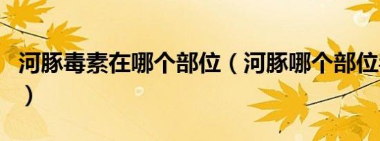河豚毒素在哪个部位（河豚哪个部位毒素最多）