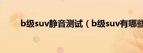 b级suv静音测试（b级suv有哪些）