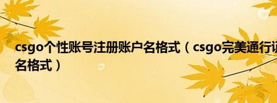 csgo个性账号注册账户名格式（csgo完美通行证注册账户名格式）