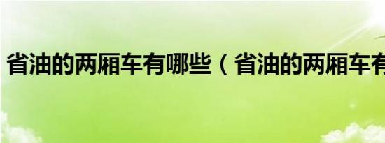 省油的两厢车有哪些（省油的两厢车有哪些）