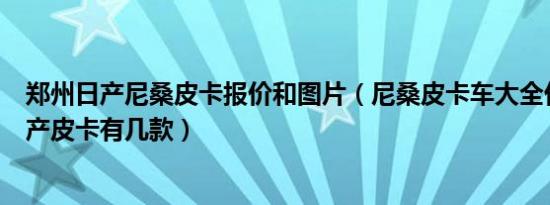 郑州日产尼桑皮卡报价和图片（尼桑皮卡车大全价格郑州日产皮卡有几款）