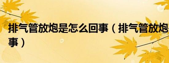排气管放炮是怎么回事（排气管放炮是怎么回事）