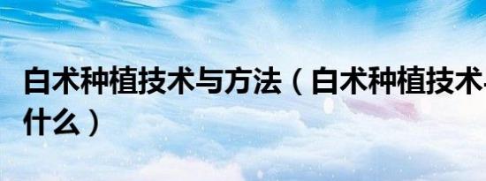 白术种植技术与方法（白术种植技术与方法是什么）