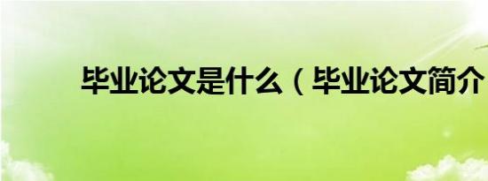 毕业论文是什么（毕业论文简介）