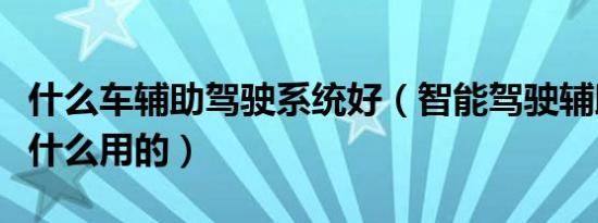 什么车辅助驾驶系统好（智能驾驶辅助系统干什么用的）