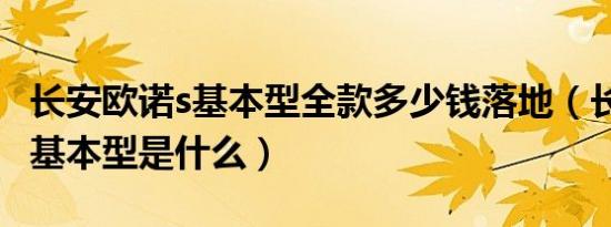 长安欧诺s基本型全款多少钱落地（长安欧诺s基本型是什么）