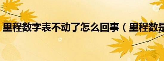 里程数字表不动了怎么回事（里程数是什么）