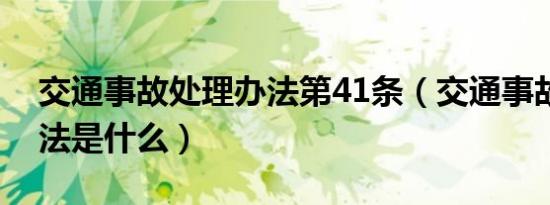 交通事故处理办法第41条（交通事故处理办法是什么）