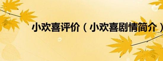 小欢喜评价（小欢喜剧情简介）