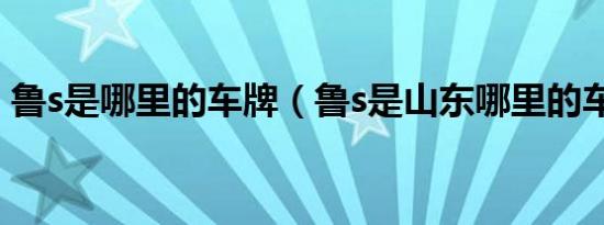 鲁s是哪里的车牌（鲁s是山东哪里的车牌号）