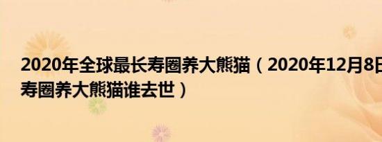 2020年全球最长寿圈养大熊猫（2020年12月8日全球最长寿圈养大熊猫谁去世）