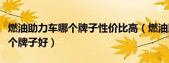 燃油助力车哪个牌子性价比高（燃油助力车哪个牌子好）