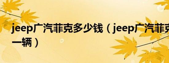 jeep广汽菲克多少钱（jeep广汽菲克多少钱一辆）