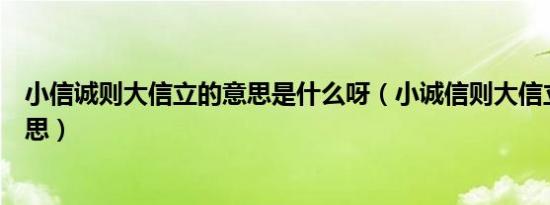 小信诚则大信立的意思是什么呀（小诚信则大信立是什么意思）