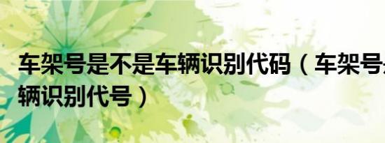 车架号是不是车辆识别代码（车架号是不是车辆识别代号）