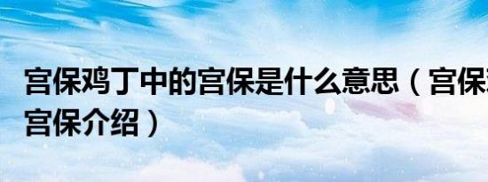 宫保鸡丁中的宫保是什么意思（宫保鸡丁中的宫保介绍）