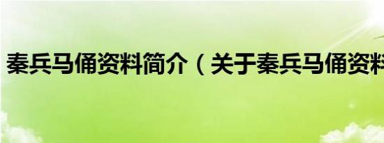 秦兵马俑资料简介（关于秦兵马俑资料简介）