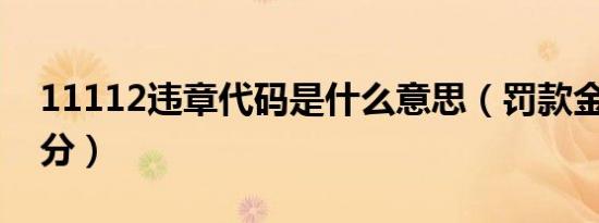 11112违章代码是什么意思（罚款金额 扣几分）