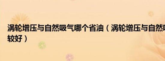 涡轮增压与自然吸气哪个省油（涡轮增压与自然吸气哪个比较好）