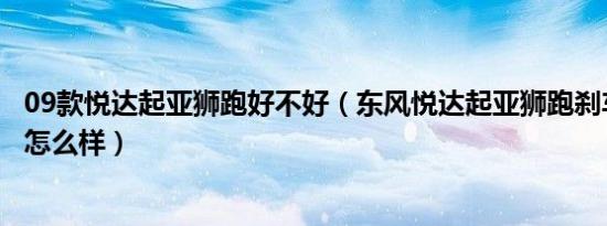 09款悦达起亚狮跑好不好（东风悦达起亚狮跑刹车制动系统怎么样）