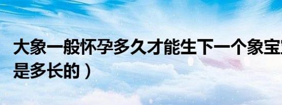 大象一般怀孕多久才能生下一个象宝宝（寿命是多长的）