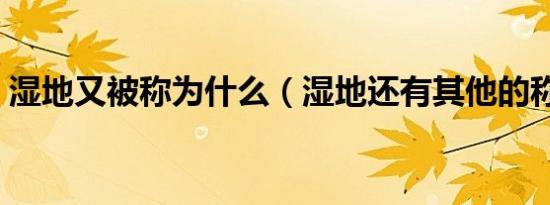 湿地又被称为什么（湿地还有其他的称呼吗）