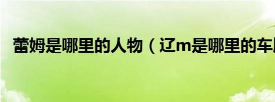 蕾姆是哪里的人物（辽m是哪里的车牌号）