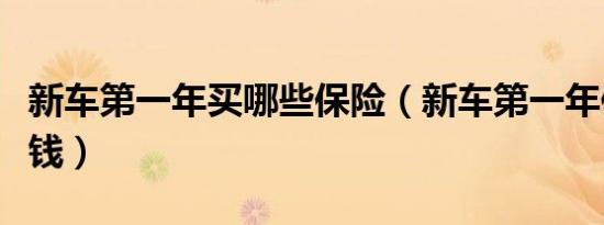 新车第一年买哪些保险（新车第一年保险多少钱）