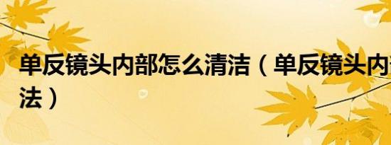 单反镜头内部怎么清洁（单反镜头内部清洁方法）