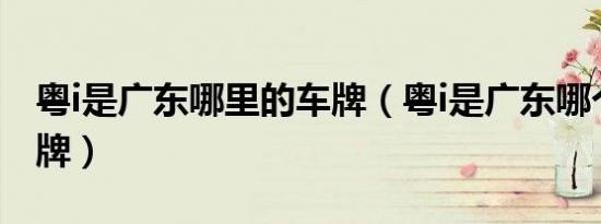 粤i是广东哪里的车牌（粤i是广东哪个市的车牌）