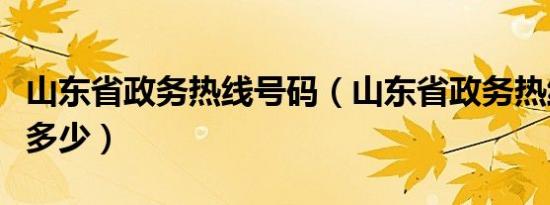 山东省政务热线号码（山东省政务热线电话是多少）