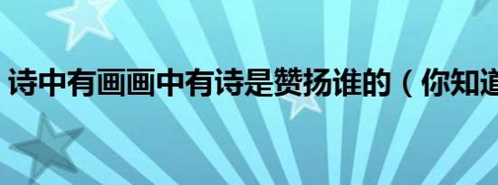 诗中有画画中有诗是赞扬谁的（你知道他吗）