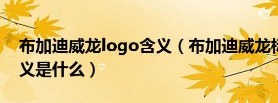 布加迪威龙logo含义（布加迪威龙标志的含义是什么）
