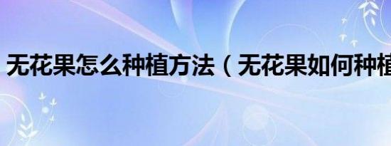 无花果怎么种植方法（无花果如何种植方法）