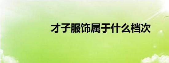 才子服饰属于什么档次