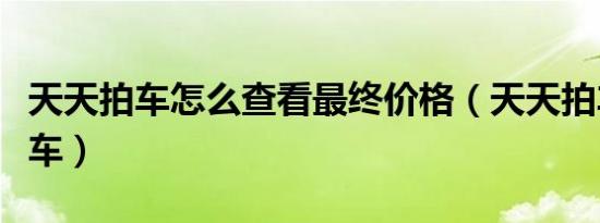 天天拍车怎么查看最终价格（天天拍车怎么卖车）