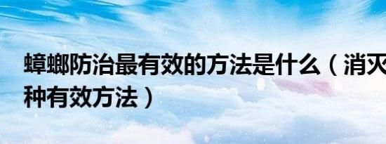 蟑螂防治最有效的方法是什么（消灭蟑螂的5种有效方法）