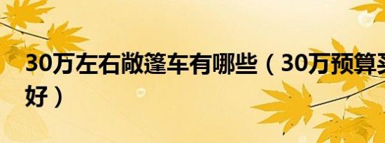 30万左右敞篷车有哪些（30万预算买什么车好）